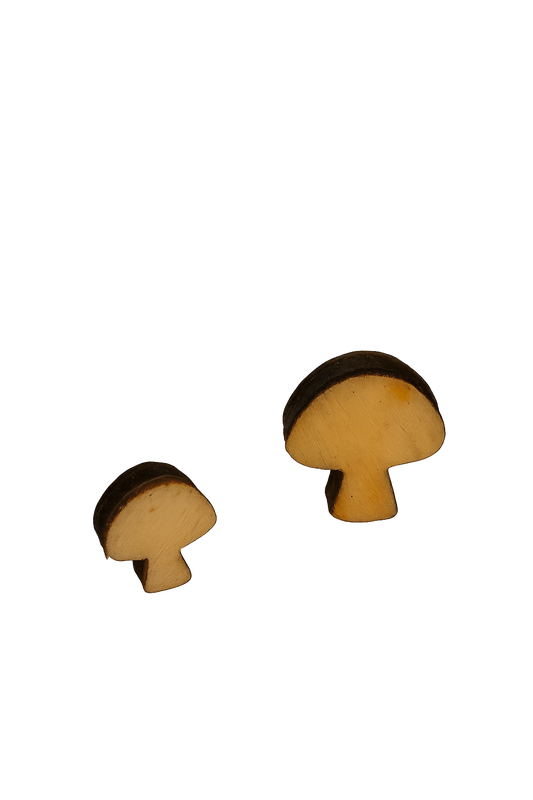 Bastelmotiv "Pilze" Sperrholz Miniatur - 2 Größen