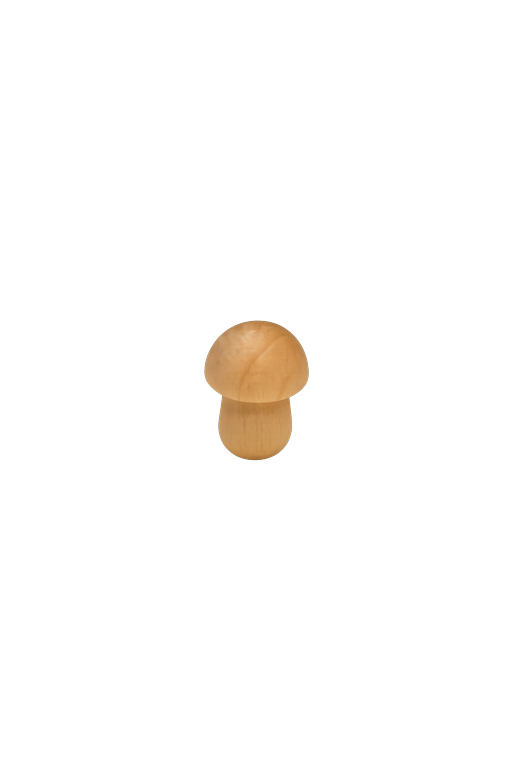 Pilz aus Buche 10mm